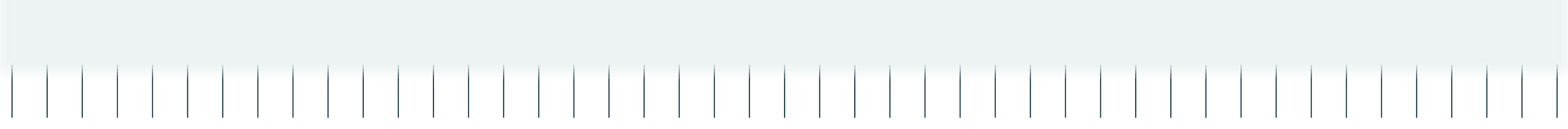 Footer decorative line illustration